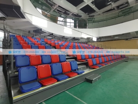 廣東省——深圳市大浪實驗學(xué)校體育館 廣東省——深圳市大浪實驗學(xué)校體育館